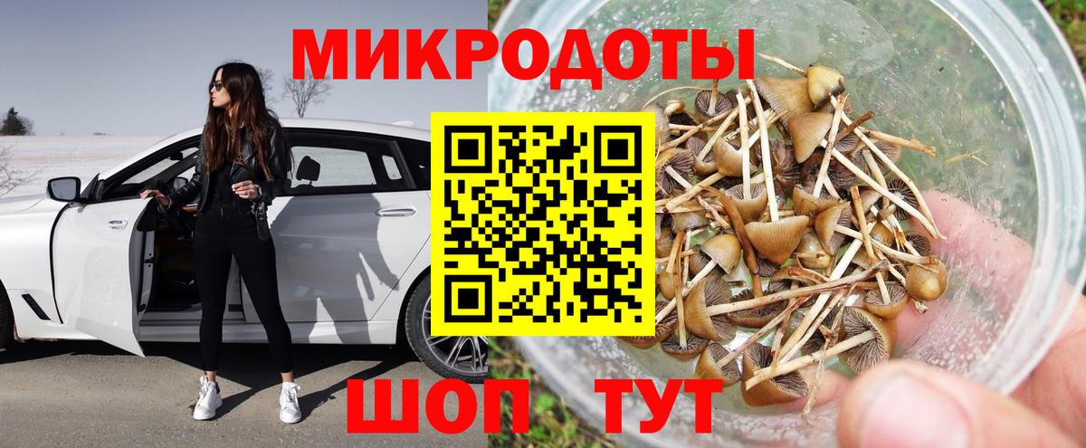 Псилоцибиновые грибы Psilocybe  Псилоцибиновые грибы GOLDEN TEACHER  Ульяновск  Вход с VPN 