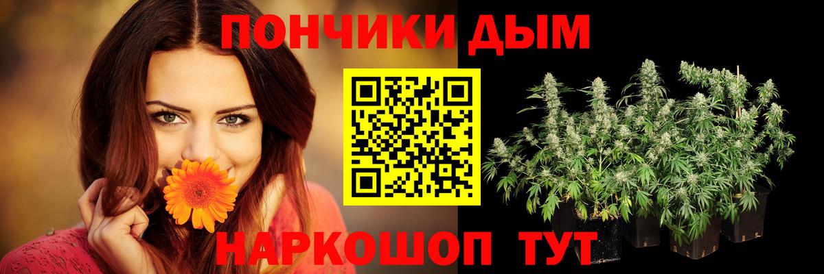 Конопля сатива Ульяновск